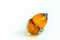 Mini_craft2eu_forsell_arcorn_3258www